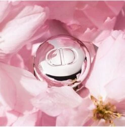 Merkloos Dior Addict Lip Maximizer Lipgloss - 012 Rosewood - Lipgloss - 6 Ml - 24 Uur Zichtbaar Effect -Deluxe - Gewild - Snel Uitverkocht - Rituals - Beste Getest Uit De Consumentenbond - Let Op: Op = Op -Glam Make-up Verkoop 1175x1200 7