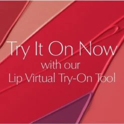 Estée Lauder Pure Color Envy Sculpting Lipstick - 340 Envious -Glam Make-up Verkoop 1193x1200 12