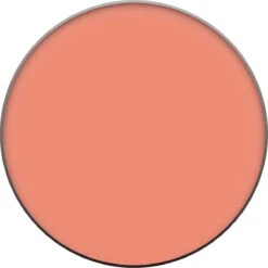 L’Oréal Paris True Match - 160 Pêche - Blush -Glam Make-up Verkoop 1199x1200 13