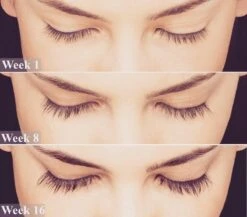 Lanthome Wimperserum - Met Castor Olie 10 Lanthome Wimperserum - Met Castor Olie -Glam Make-up Verkoop 1200x1056 6