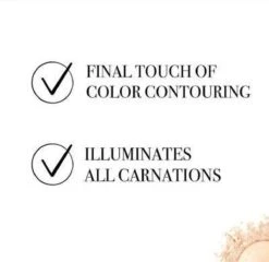 Bourjois Le Petit Strober Highlighter - 00 Universal Glow -Glam Make-up Verkoop 1200x1164 28