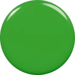 Essie Nagellak - 773 Feelin' Just Lime -Glam Make-up Verkoop 1200x1195 1