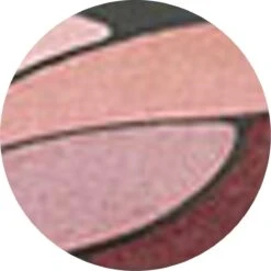 L’Oréal Paris Color Riche Les Ombres Quad - E6 Eau De Rose - Oogschaduw 11 L’Oréal Paris Color Riche Les Ombres Quad - E6 Eau De Rose - Oogschaduw -Glam Make-up Verkoop 1200x1199 20