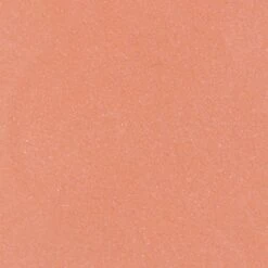 Blèzi® Lip Fix 10 Blissful Pink - Lipstick - Lippenstift Langhoudend - Roze Perzik -Glam Make-up Verkoop 1200x1200 1261