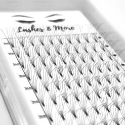 Lashes & More - Nepwimpers - 6D 12mm 0.07 D Krul - Pre-Made Volume Fans – Russian Volume – Pre-Made Fans- Wimperextensions – Wimper Extensions - Verkrijgbaar In Lengte 8mm Tot 15mm 5 Lashes & More - Nepwimpers - 6D 12mm 0.07 D Krul - Pre-Made Volume Fans – Russian Volume – Pre-Made Fans- Wimperextensions – Wimper Extensions - Verkrijgbaar In Lengte 8mm Tot 15mm -Glam Make-up Verkoop 1200x1200 1715