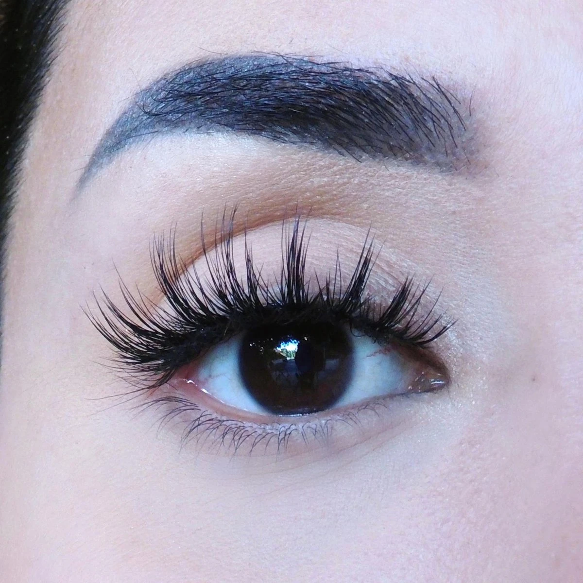 Gilded Butterfly - Nepwimpers - Fake Lashes - Onyx 5 Gilded Butterfly - Nepwimpers - Fake Lashes - Onyx - Afbeelding 5