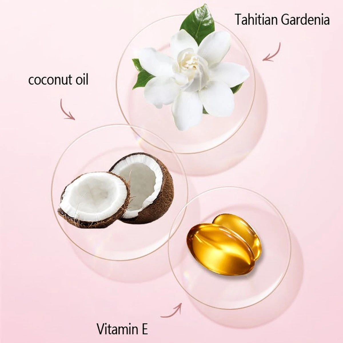 Palm Brow Styling Soap - 100% Vegan - Wenkbrauw Styling Zeep - Wenkbrauwgel Met Langdurig Effect – Veilig En Natuurlijk – Brow Shaping - Wenkbrauw Soap 8 Palm Brow Styling Soap - 100% Vegan - Wenkbrauw Styling Zeep - Wenkbrauwgel Met Langdurig Effect – Veilig En Natuurlijk – Brow Shaping - Wenkbrauw Soap - Afbeelding 8