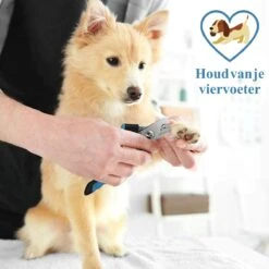 Merkloos Nagelknippper Hond Nagelknipper Kat + E-BOOK - Nagelschaar Hond - Nagelschaar Kat - Honden Nagelknipper - Nagelvijl Hond - Nageltang Hond - Nagelknipper Hond Veiligheidsstop - Nagel Hond - Bwa Commerce -Glam Make-up Verkoop 1200x1200 698