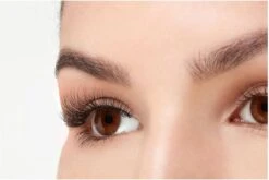 Ardell - Nepwimpers Multipack - Zwart - 5 Sets -Glam Make-up Verkoop 1200x802 9