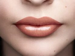 L'Oréal Paris Color Riche Shine Lippenstift - 656 Beige In The City 11 L'Oréal Paris Color Riche Shine Lippenstift - 656 Beige In The City -Glam Make-up Verkoop 1200x895 7