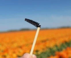 Natural Shaper Brow Soap Met Bamboo Brush – Browsoap - Wenkbrauwgel Met Langdurig Effect – Veilig En Natuurlijk – Brow Shaping - Wenkbrauw Soap -Glam Make-up Verkoop 1200x984 5