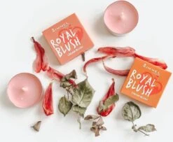 Rimmel London Rimmel - Royal Blush Cream Blush 4 G 002 Majestic Pink - 7 Rimmel London Rimmel - Royal Blush Cream Blush 4 G 002 Majestic Pink - -Glam Make-up Verkoop 1200x985 2